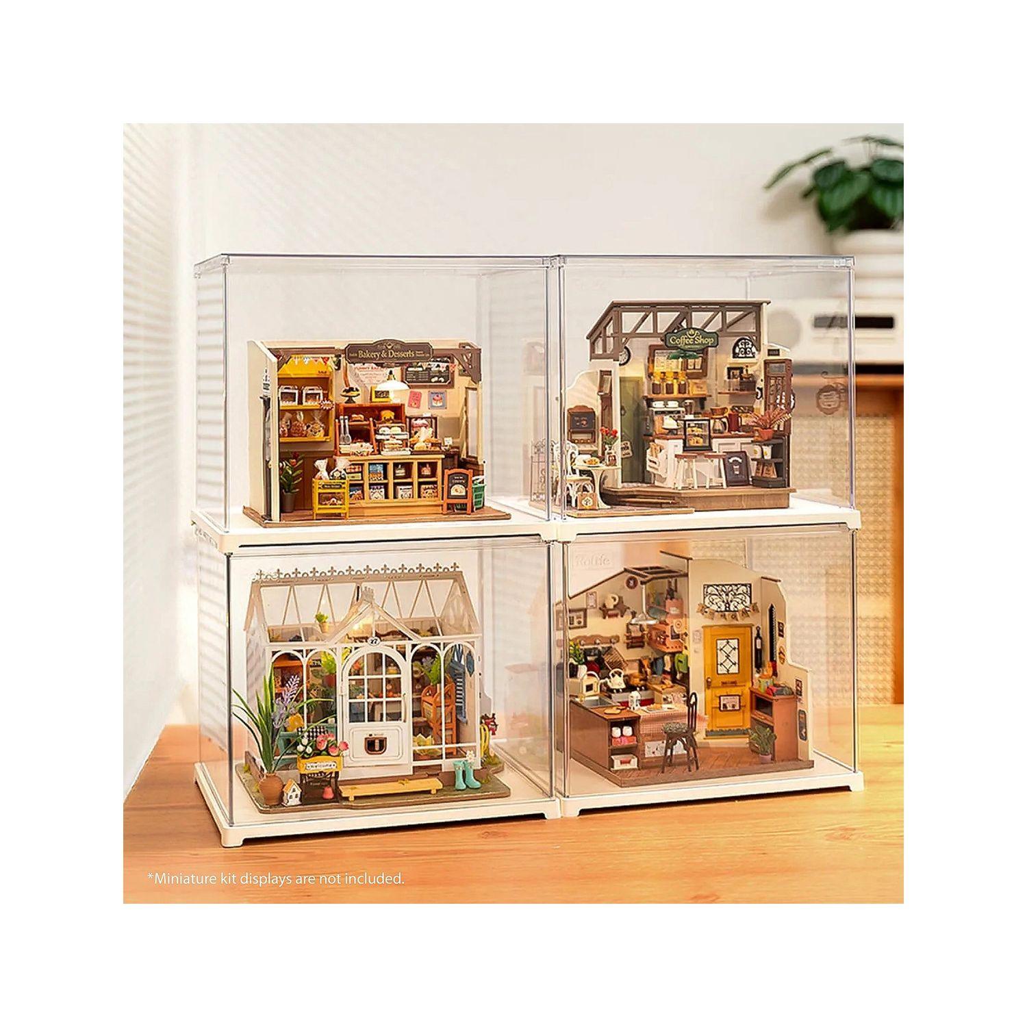 Plastic Display Case