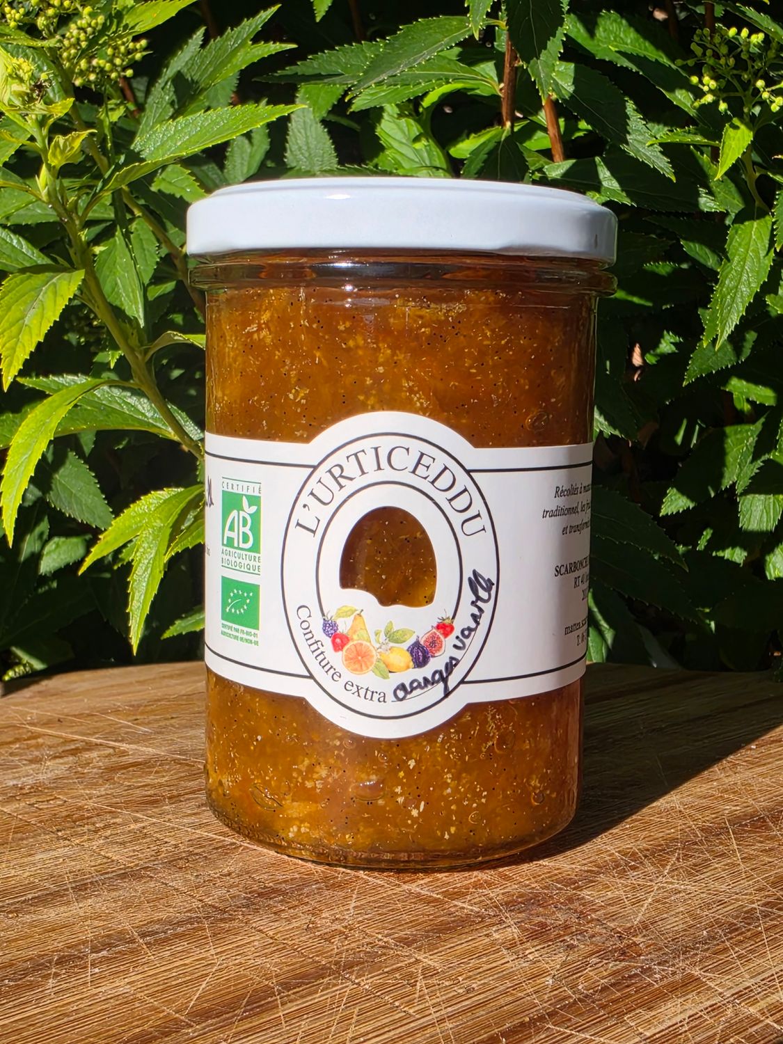 CONFITURE EXTRA D'ORANGE VANILLE
