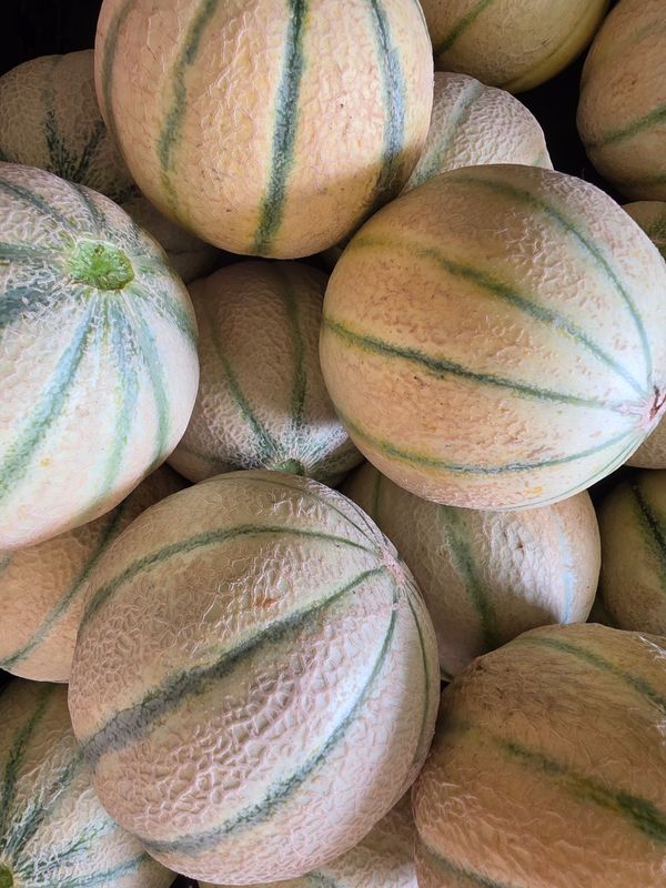 MELON BIO