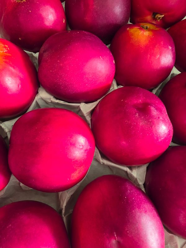 NECTARINE JAUNE BIO