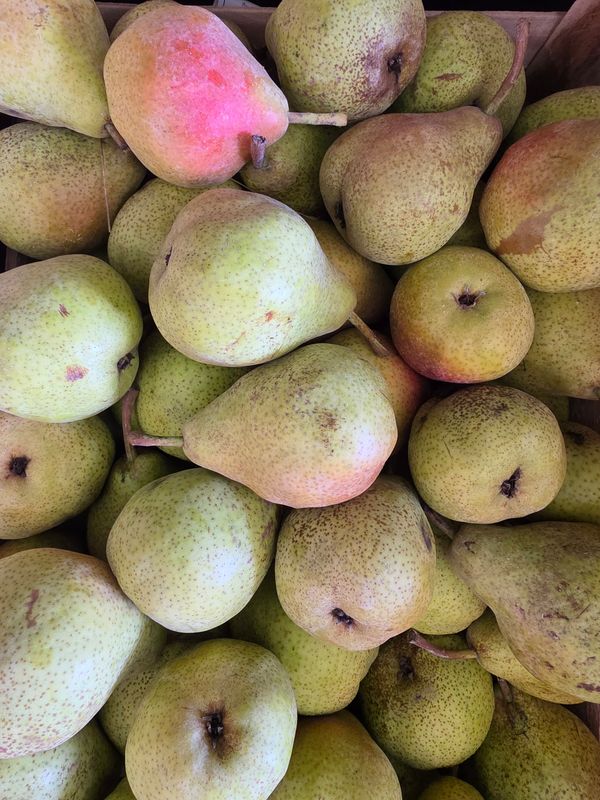 POIRE BIO