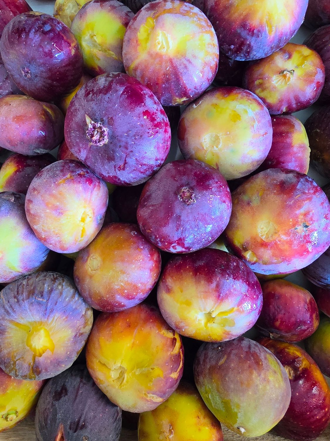 FIGUES BIO