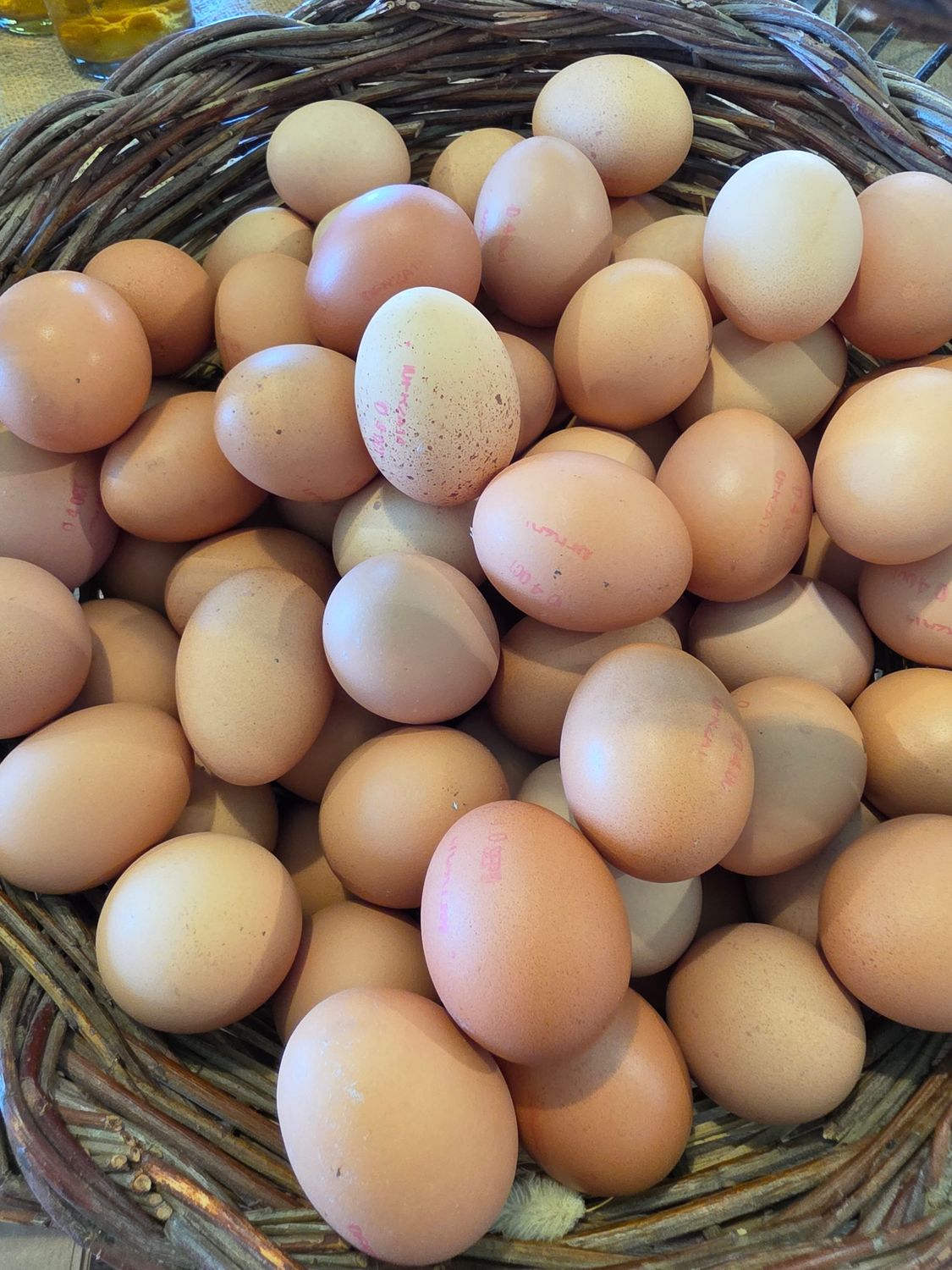 OEUF BIO EXTRA FRAIS