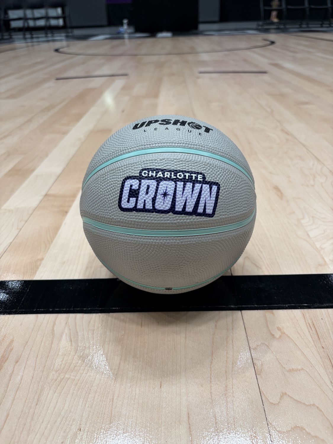 Charlotte Crown Basketball 7in Mini