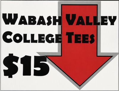 $15 Assorted Color Tees