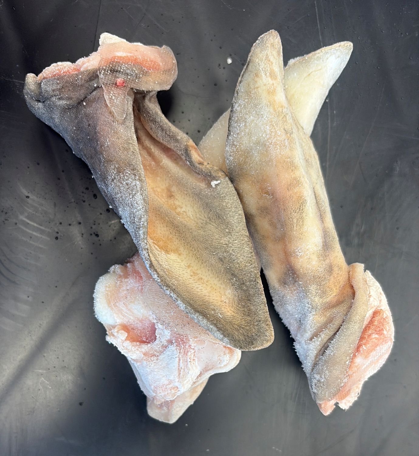 Frozen Lamb Ears 6pk