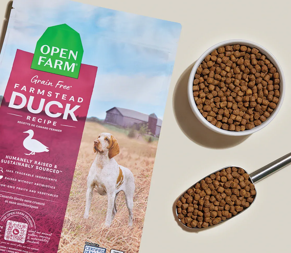 Open Farm Dog GF Farmstead Duck, Size: 4 lb