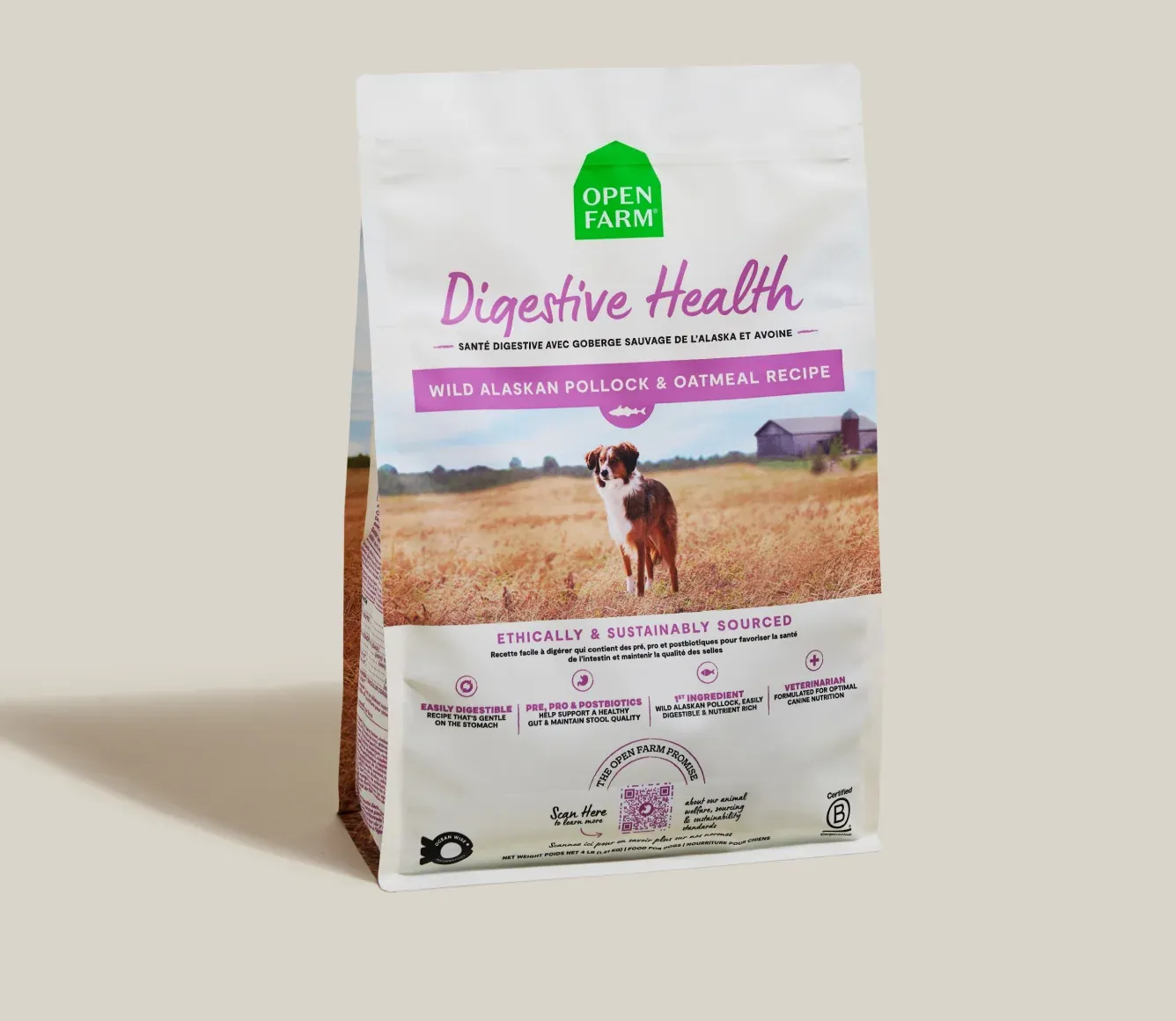 Pollock &amp; Oatmeal Digestive Health Dog Kibble, Size: 4lb