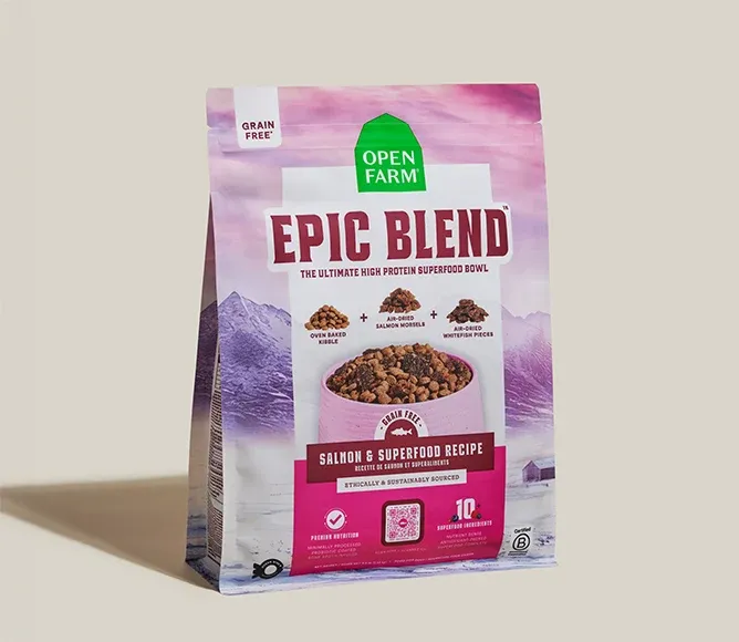 Epic Blend Salmon &amp; Superfood Grain-Free Dog Kibble, Size: 3.5lb