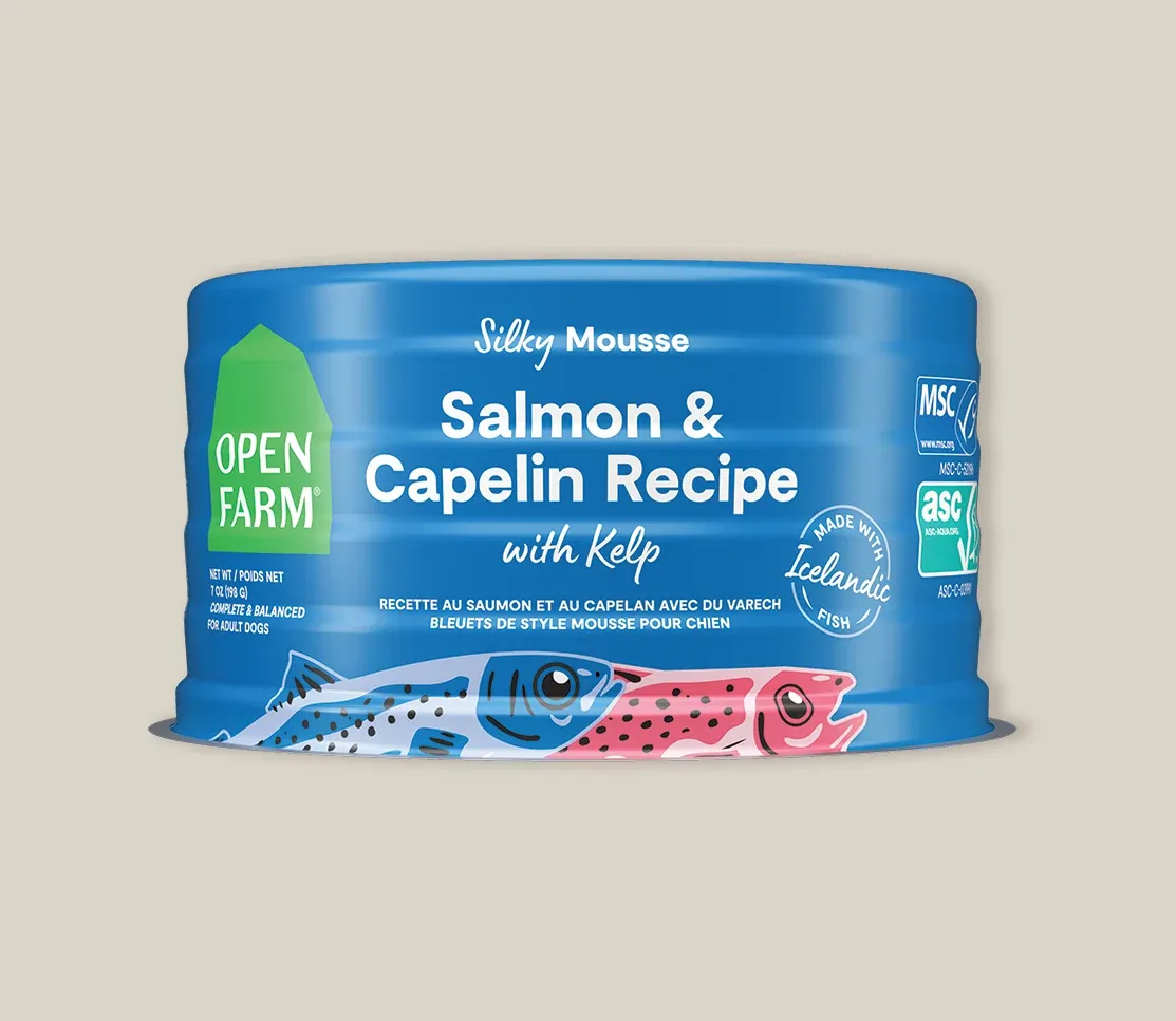 Icelandic Salmon &amp; Capelin Wet Food for Dogs