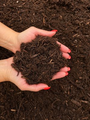Mulch