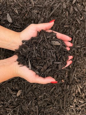 Dark Brown Dyed Mulch