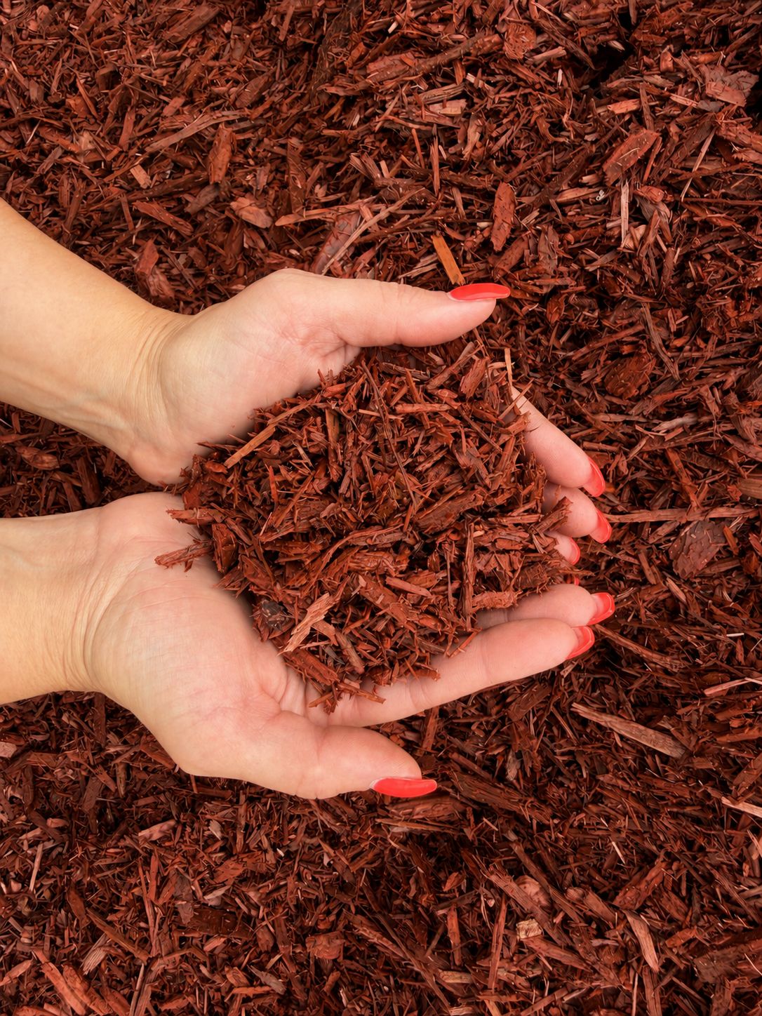 Red Dyed Mulch