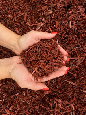 Red Dyed Mulch