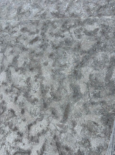 Rustic Grey Flamed Patterned Paver 1.25" - SqFt