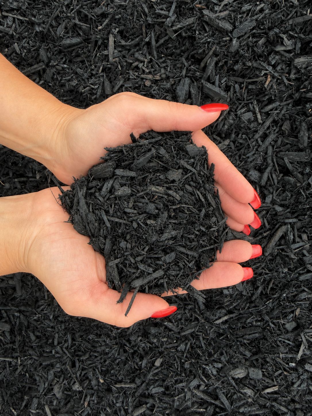 Black Dyed Mulch