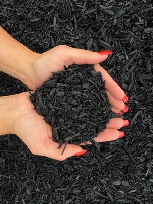 Black Dyed Mulch
