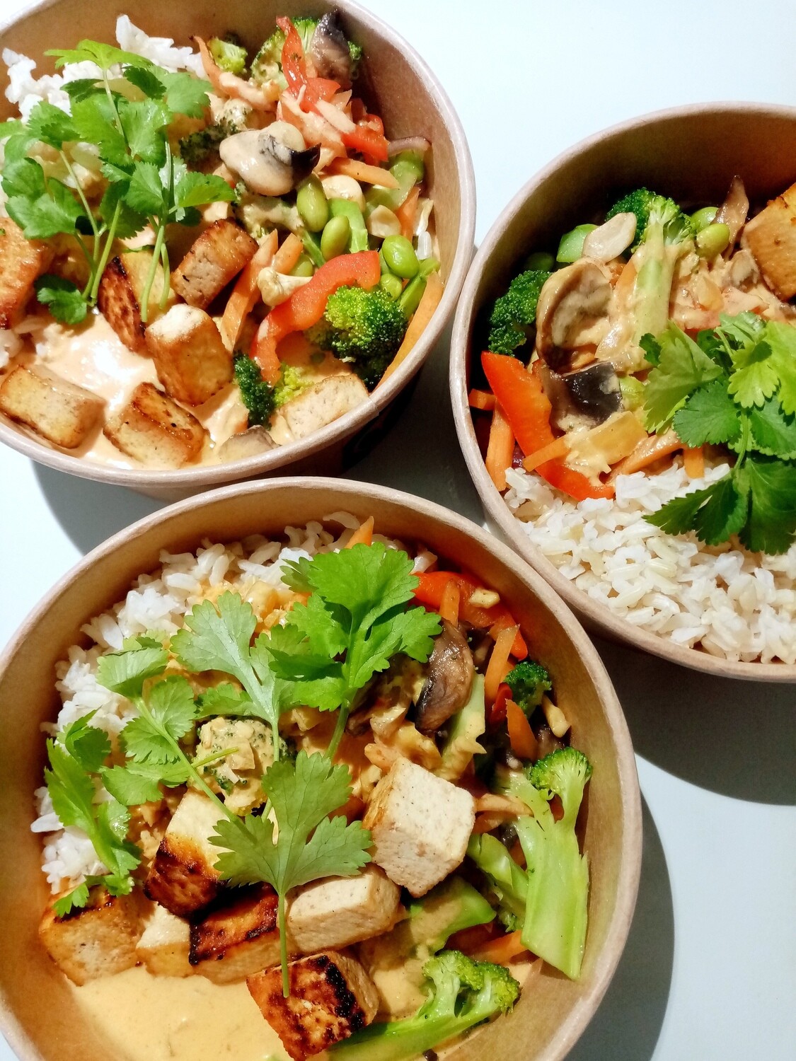 COCONUT RED CURRY mildly spiced. With ginger, seaonal vegetables, organic tofu, brown rice, coriander, cashews. GF, DF