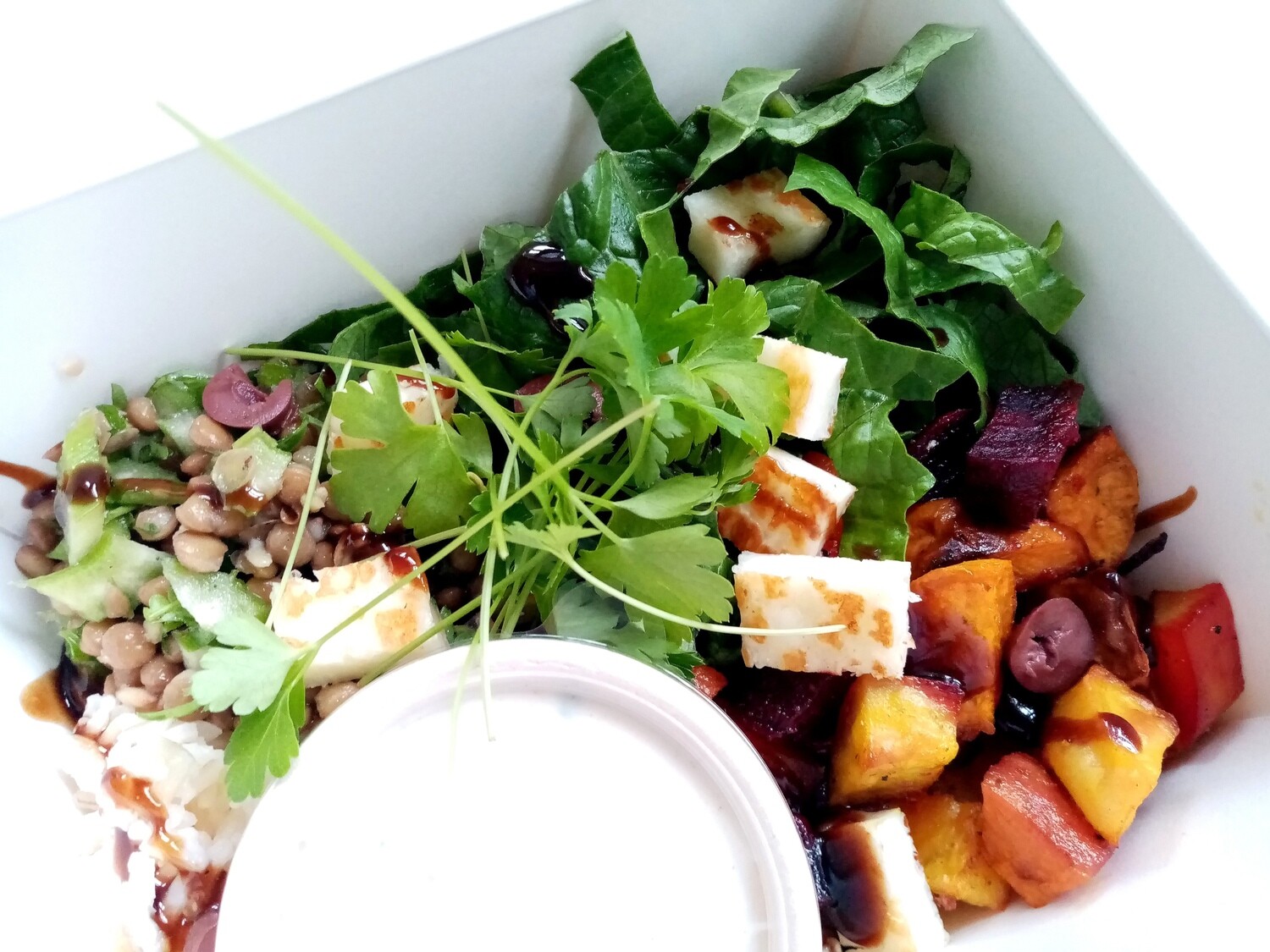 RISE BOX: Maroccan spiced, roasted vegetables and olives, brown rice, marinated lentils, panfried haloumi, cos lettuce, herbed yoghurt sauce, fig-balsamic glaze.