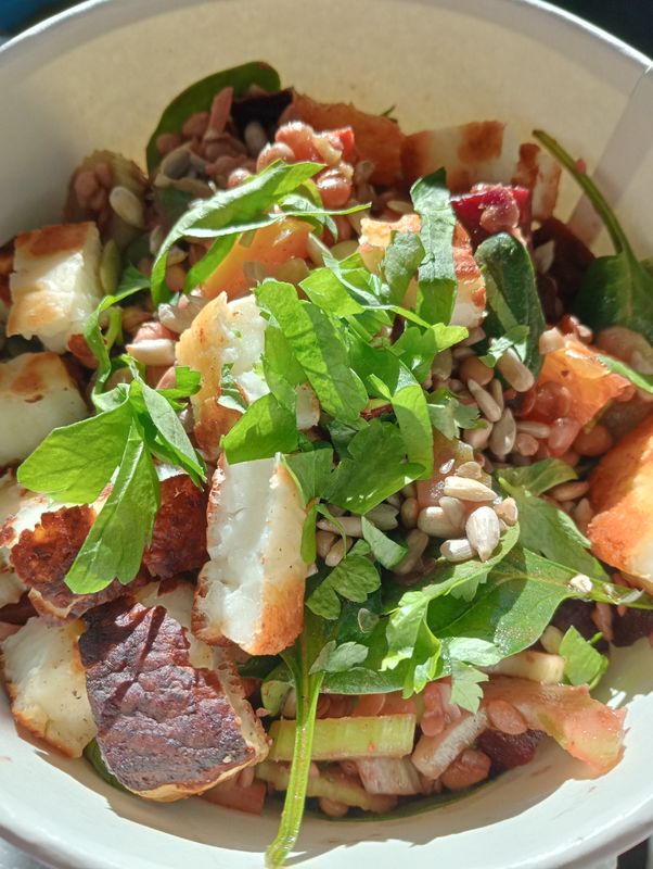 LENTIL SALAD with orange, celery, roasted carrots and beetroot, red onion, herbs, toasted seeds, baby spinach, red wine vinegar, olive oil, reduced balsamic and panfried haloumi.