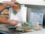 HD Embossed Foodservice Gloves 100/cs
