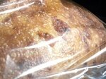 5.5 x 4.75 x 19 Unwicketed, Side Gusseted Economy Poly Bakery Bag Qty 1,000/cs