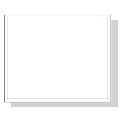 Packing List Envelopes  4.5X5.5 1000/Case