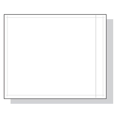 Packing List Envelopes  4.5X5.5 1000/Case