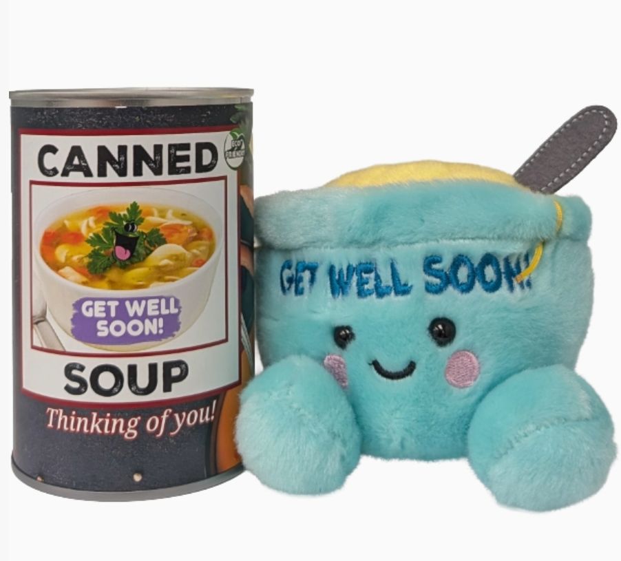 Canned Soup - Chicken Noodle - Get Well Soon Gift