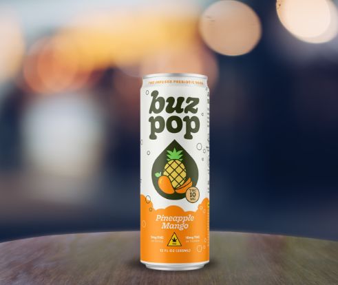 Buz Pop - Pineapple Mango 10MG