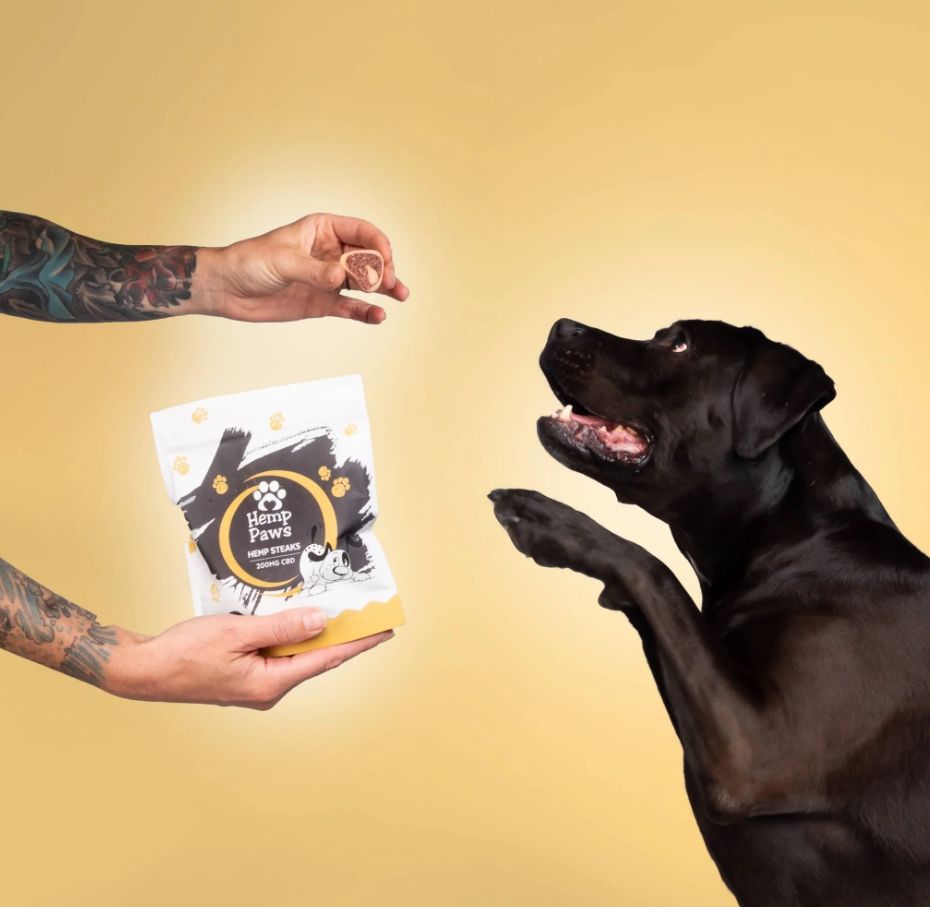 CBD Dog Treat Steaks