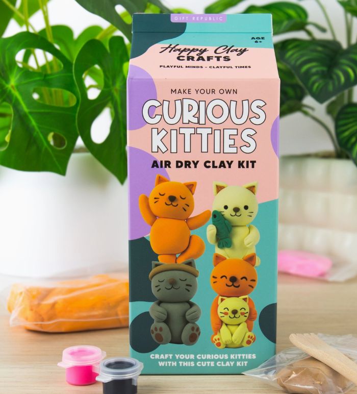 Cat Air Dry Clay Kit