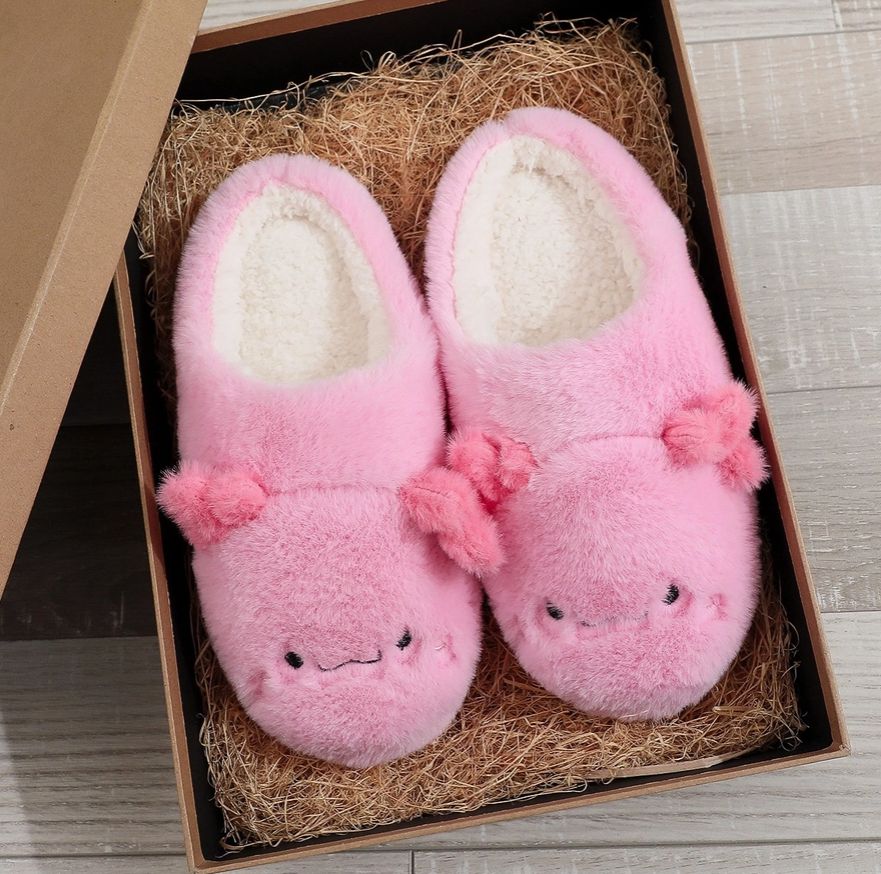 Salamander Slippers