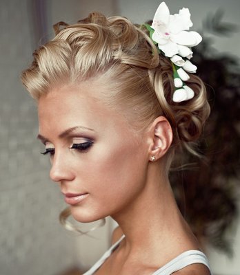 Haircombs & clips
