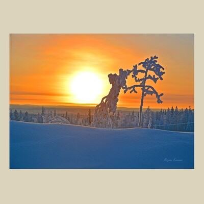 "Pakkasaurinko" kortti A6
