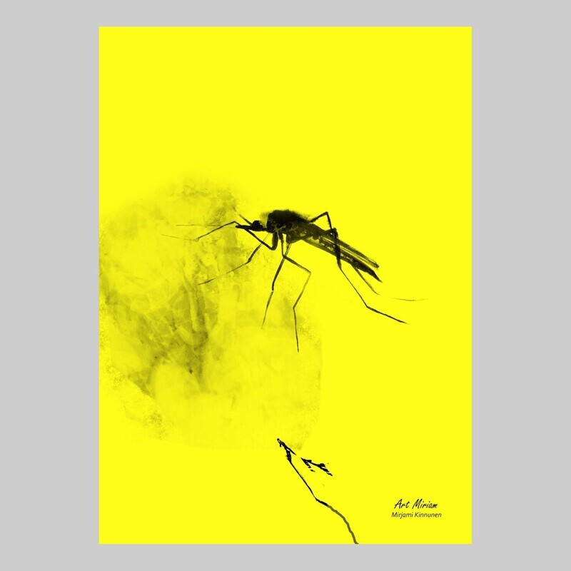 "Sääski" A6 kortti