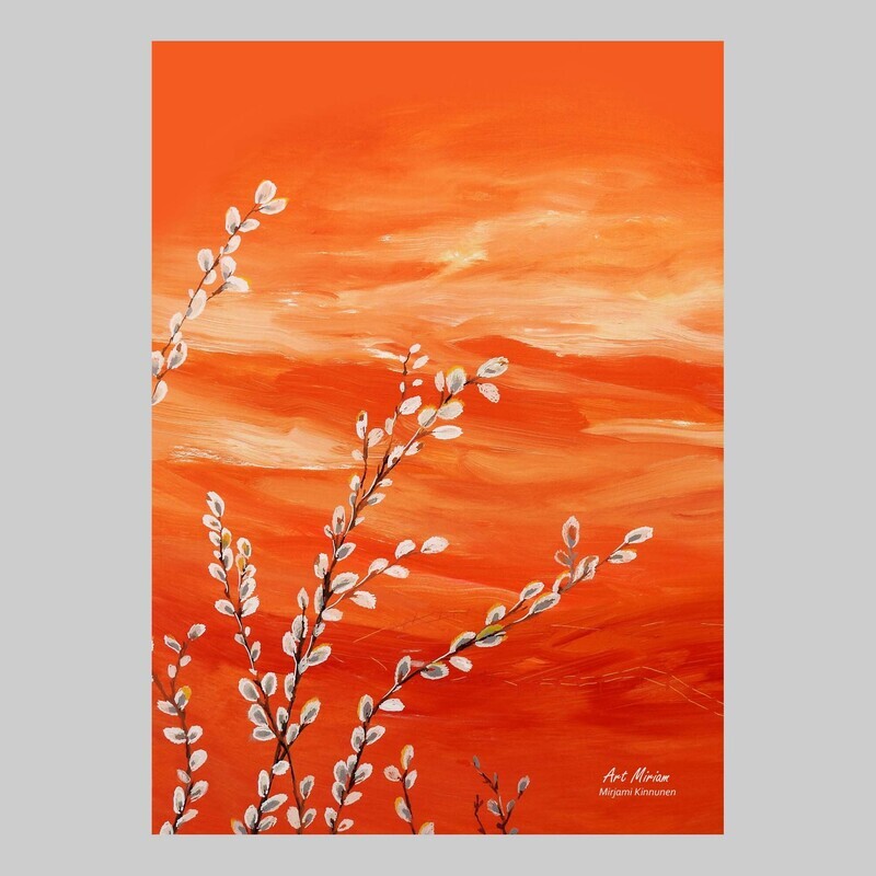 "Pajunkissat" A6 kortti