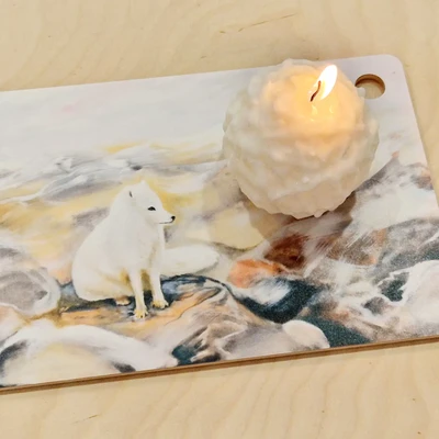 "Naali" Leipälautanen