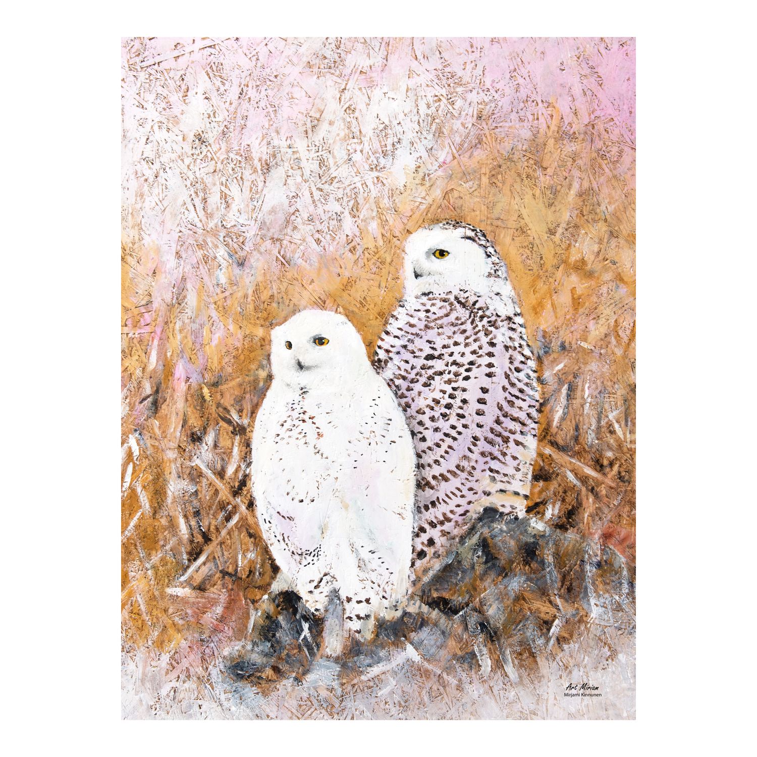 &quot;Tunturipöllöt&quot; 30x40cm juliste
