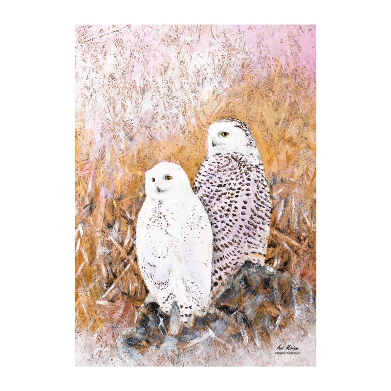 Uutta! &quot;Tunturipöllöt&quot; Juliste 21x30cm.