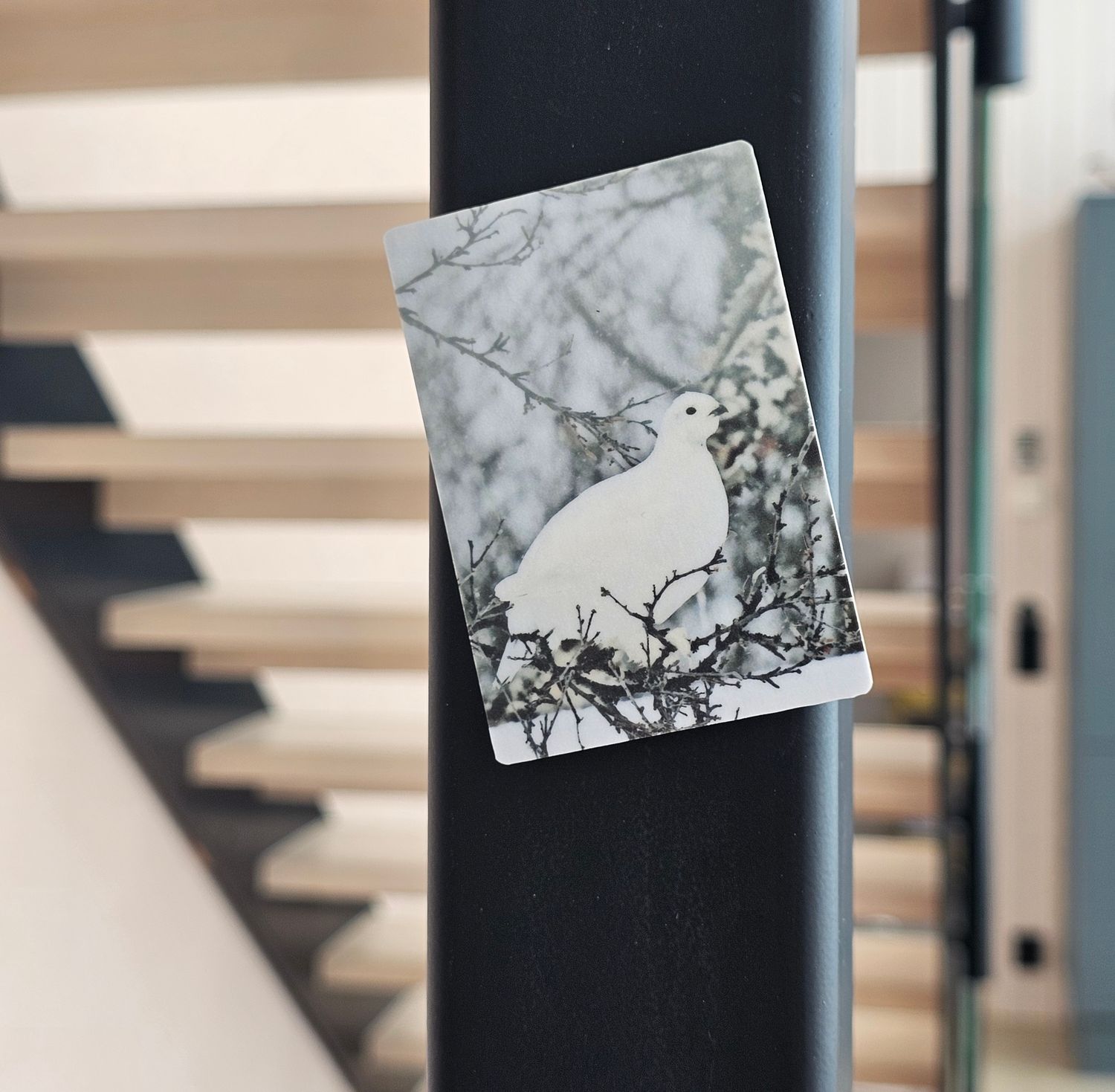 Riekko, koivumagneetti  5.4x7.8cm