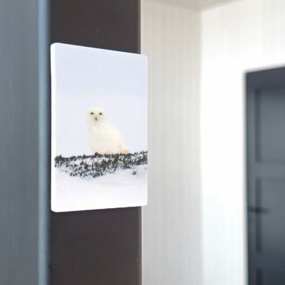 Koivuiset avaimenperät ja magneetit