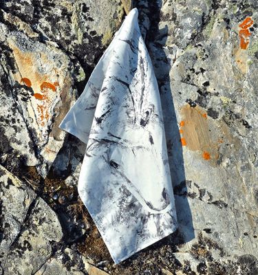 Puolipellavapyyhkeet / Leivinliinat. Saapuu toukokuun lopulla!