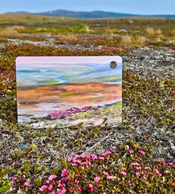 Tarjoilualuset / leipälautaset