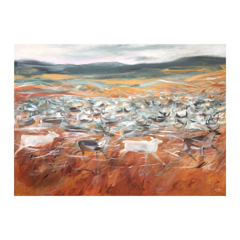 "Tokka" Juliste 50x70cm