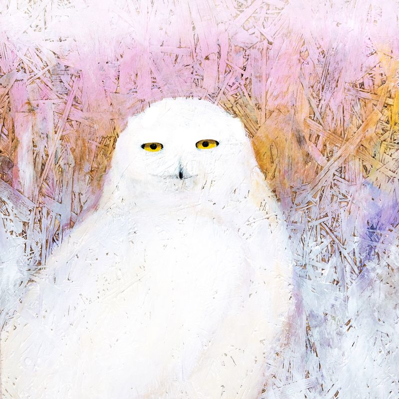 "Tunturipöllö" Sisustustyynyliina 40x40cm