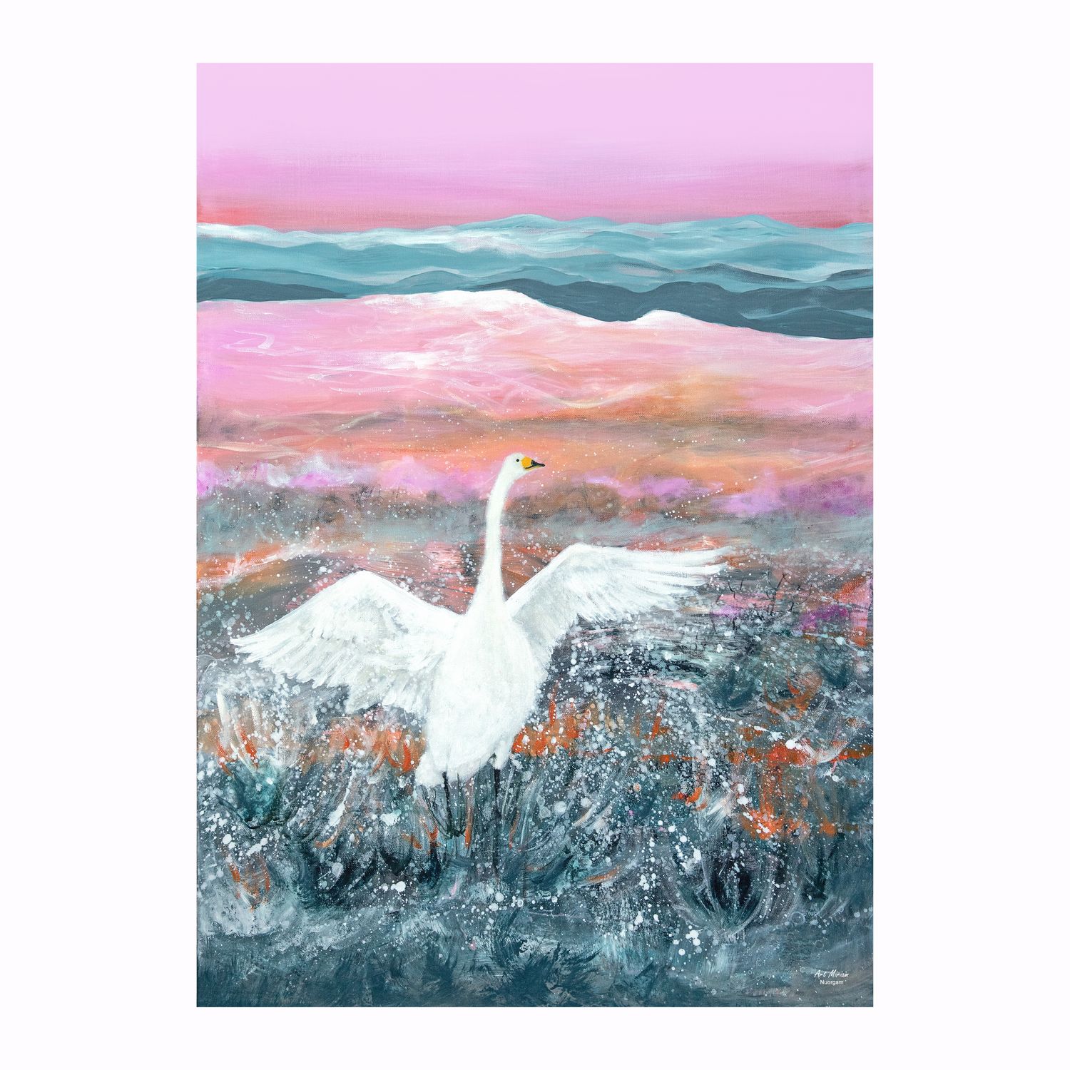 Uutta!  Vain pieni erä saatavilla!  "Joutsen" Juliste 50x70cm.