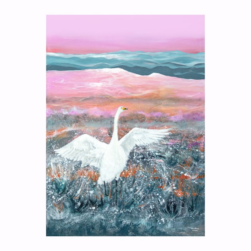 Uutta!  Vain pieni erä saatavilla!  "Joutsen" Juliste 50x70cm.