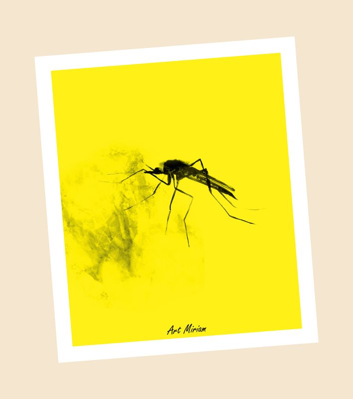 "Sääski" Sieniliina. Tuotekuvat tulossa.