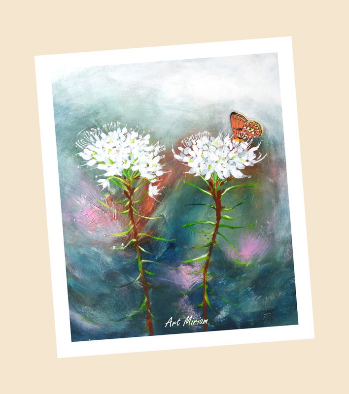 Uutuus! "Suopursut Sieniliina. Tuotekuvat tulossa.